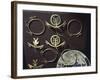 Gold Nose Rings and Earrings, Artifact Originating from Colombia-null-Framed Giclee Print