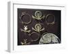 Gold Nose Rings and Earrings, Artifact Originating from Colombia-null-Framed Giclee Print