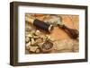 Gold Nuggets and Vintage Brass Telescope on Antique Map-Andreyuu-Framed Photographic Print