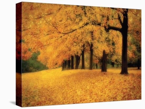 Gold of Autumn West-M^ Ellen Cocose-Stretched Canvas