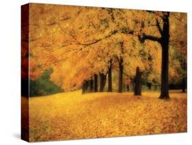 Gold of Autumn West-M^ Ellen Cocose-Stretched Canvas