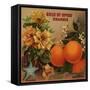 Gold of Ophir - California - Citrus Crate Label-Lantern Press-Framed Stretched Canvas