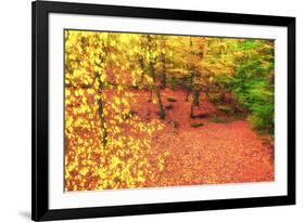 Gold of Val-Viviane Fedieu Daniel-Framed Photographic Print