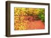 Gold of Val-Viviane Fedieu Daniel-Framed Photographic Print