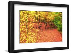 Gold of Val-Viviane Fedieu Daniel-Framed Photographic Print