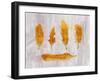 Gold Ombre Feathers II-Tina Lavoie-Framed Giclee Print