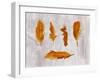 Gold Ombre Feathers III-Tina Lavoie-Framed Giclee Print