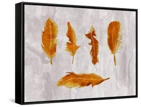 Gold Ombre Feathers III-Tina Lavoie-Framed Stretched Canvas