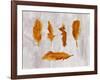 Gold Ombre Feathers III-Tina Lavoie-Framed Giclee Print