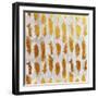 Gold Ombre Watercolor Feathers-Tina Lavoie-Framed Giclee Print