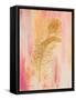 Gold on Pink I-Gwendolyn Babbitt-Framed Stretched Canvas