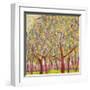 Gold Orchard-Jean Cauthen-Framed Giclee Print