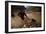 Gold Panning, Nong Kiew, River Nam Ou, Laos, Indochina, Southeast Asia-Colin Brynn-Framed Photographic Print