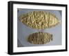 Gold Pectoral Depicting Struggle Between Boar and Lion-null-Framed Giclee Print