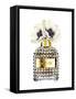 Gold Perfume with Poppy-Amanda Greenwood-Framed Stretched Canvas