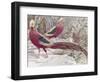 Gold Pheasant-Wilhelm Kuhnert-Framed Giclee Print