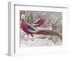 Gold Pheasant-Wilhelm Kuhnert-Framed Giclee Print