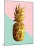 Gold Pineapple with Retro Shapes-cienpies-Mounted Art Print