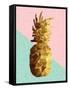 Gold Pineapple with Retro Shapes-cienpies-Framed Stretched Canvas