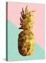 Gold Pineapple with Retro Shapes-cienpies-Stretched Canvas