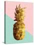 Gold Pineapple with Retro Shapes-cienpies-Stretched Canvas