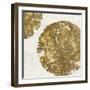 Gold Plate I-PI Studio-Framed Art Print