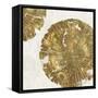 Gold Plate I-PI Studio-Framed Stretched Canvas