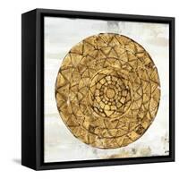 Gold Plate I-Tom Reeves-Framed Stretched Canvas
