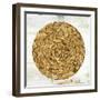 Gold Plate I-Tom Reeves-Framed Art Print