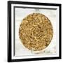 Gold Plate I-Tom Reeves-Framed Art Print