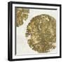 Gold Plate I-PI Studio-Framed Art Print