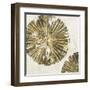 Gold Plate II-PI Studio-Framed Art Print