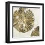 Gold Plate II-PI Studio-Framed Art Print