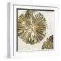 Gold Plate II-PI Studio-Framed Art Print