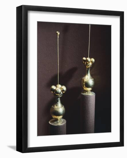 Gold Poporos-null-Framed Giclee Print