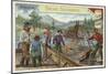 Gold Prospectors, Alaska-null-Mounted Giclee Print