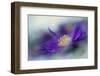 Gold & Purple in the Mist I-Gillian Hunt-Framed Photographic Print