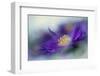 Gold & Purple in the Mist I-Gillian Hunt-Framed Photographic Print