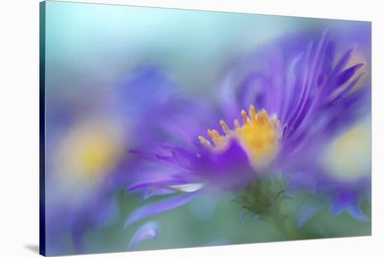 Gold & Purple in the Mist IV-Gillian Hunt-Stretched Canvas