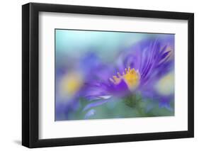 Gold & Purple in the Mist IV-Gillian Hunt-Framed Photographic Print