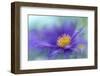 Gold & Purple in the Mist V-Gillian Hunt-Framed Photographic Print