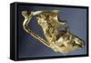 Gold Rhyton in Shape of Stag's Head with Mythological Scenes and Handle in Shape of Lion-null-Framed Stretched Canvas