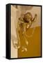 Gold Ribbon Trailing over Cherub Figure in Corner of Room-Richard Bryant-Framed Stretched Canvas