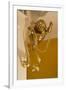 Gold Ribbon Trailing over Cherub Figure in Corner of Room-Richard Bryant-Framed Photo