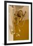 Gold Ribbon Trailing over Cherub Figure in Corner of Room-Richard Bryant-Framed Photo