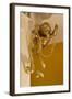 Gold Ribbon Trailing over Cherub Figure in Corner of Room-Richard Bryant-Framed Photo