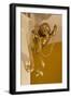 Gold Ribbon Trailing over Cherub Figure in Corner of Room-Richard Bryant-Framed Photo