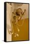 Gold Ribbon Trailing over Cherub Figure in Corner of Room-Richard Bryant-Framed Stretched Canvas