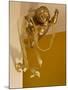 Gold Ribbon Trailing over Cherub Figure in Corner of Room-Richard Bryant-Mounted Photo