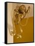 Gold Ribbon Trailing over Cherub Figure in Corner of Room-Richard Bryant-Framed Stretched Canvas